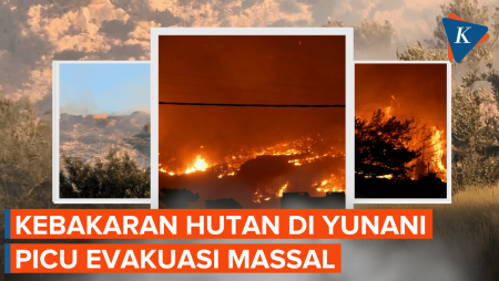 Penampakan Kebakaran Hutan di Yunani, Ribuan Orang Dievakuasi